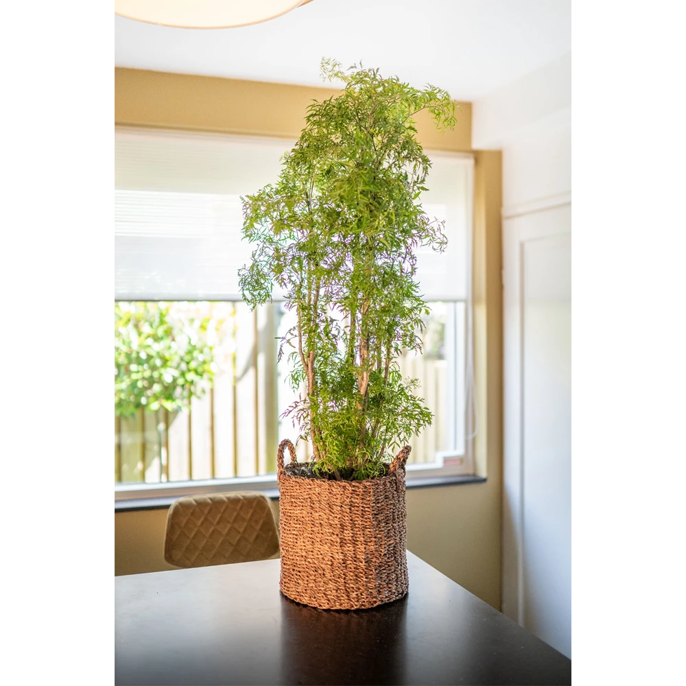 Plantenmand Joris - d33 x h31cm - Camel Plantenmand Joris - D33 X H31cm - Camel -Ingemaakte Serie Winkel plantenmand joris camel plantenmand 2 1