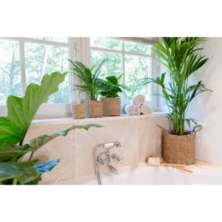 Plantenmand Joris - D42 X H36cm - Naturel -Ingemaakte Serie Winkel plantenmand joris naturel plantenmand 3