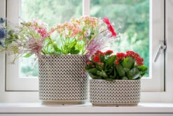 Bloempot Thies Ovaal - L26 X B12 X H13cm - Olijf Groen -Ingemaakte Serie Winkel planter thies olive green d26x12 h13 bloempot 6 10