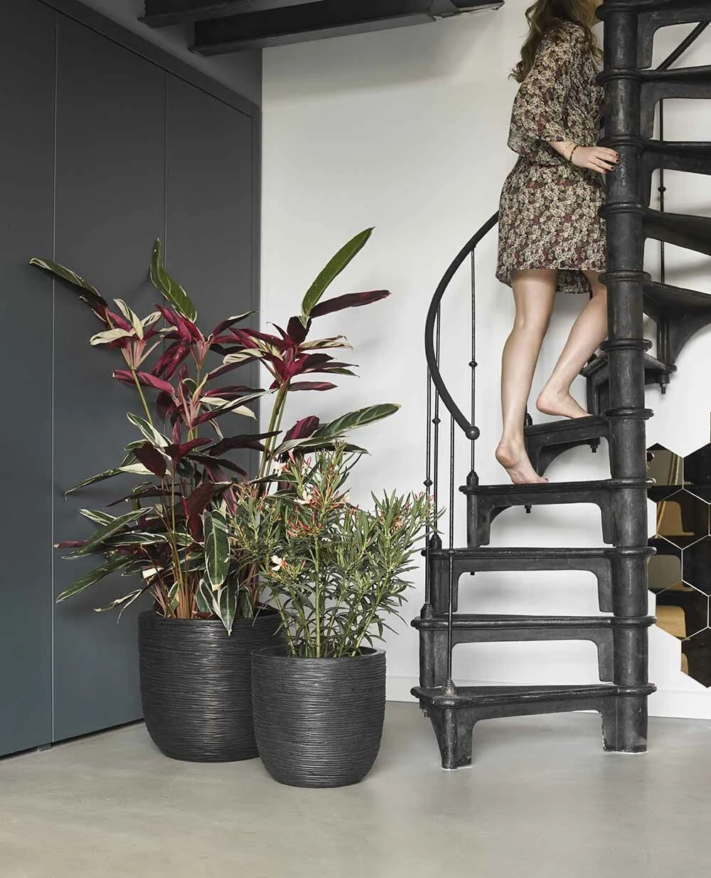 Capi Bloempot bol Nature Rib NL - d55 x h53cm - Zwart Capi Bloempot Bol Nature Rib NL - D55 X H53cm - Zwart -Ingemaakte Serie Winkel