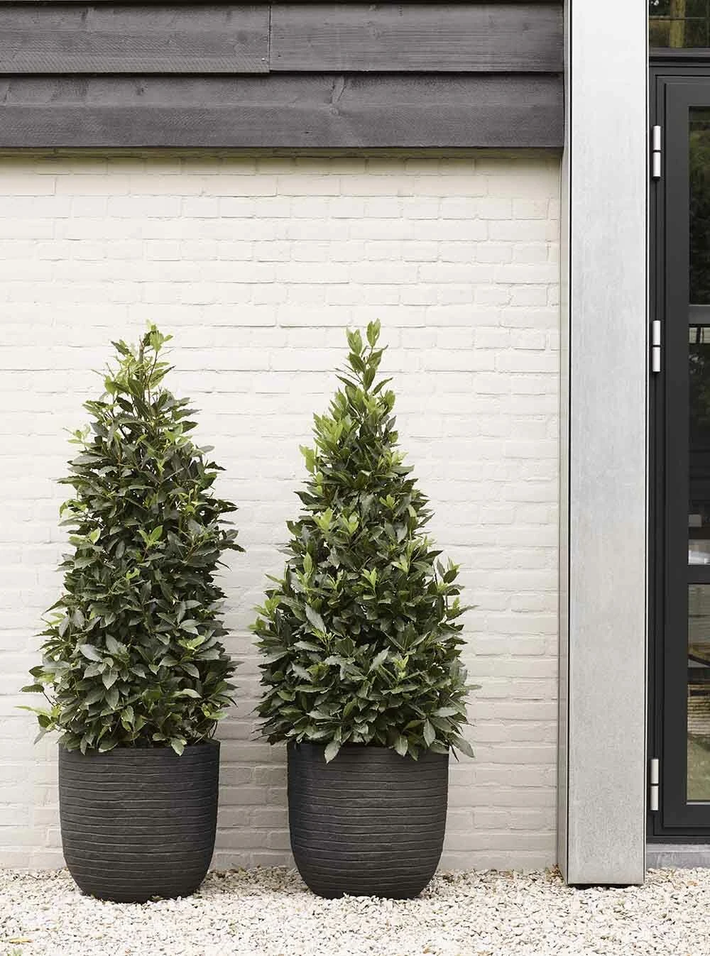 Capi Bloempot bol Nature Row NL - d35 x h34cm - Zwart Capi Bloempot Bol Nature Row NL - D35 X H34cm - Zwart -Ingemaakte Serie Winkel