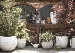 Capi Bloempot Bol Nature Row NL - D43 X H41cm - Ivoor -Ingemaakte Serie Winkel pot bol row nl 43x41 ivoor bloempot 6 9