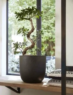 Capi Bloempot Bol Urban Smooth NL - D35 X H34cm - Zwart -Ingemaakte Serie Winkel pot bol smooth nl 35x34 zwart bloempot 7 8