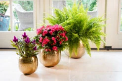 Bloempot Kody Metaal - D17 X H15cm - Goud -Ingemaakte Serie Winkel pot kody gold metaal d17 h15 bloempot 7 10