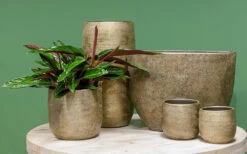 Bloempot Mira - D39 X H36cm - Goud 3 Bloempot Mira - D39 X H36cm - Goud -Ingemaakte Serie Winkel pot mira d39 h36cm industrieel goud bloempot 6 12