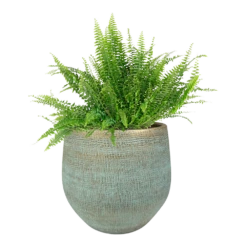 Bloempot Ryan - D31 X H28cm - Shiny Blue 3 Bloempot Ryan - D31 X H28cm - Shiny Blue -Ingemaakte Serie Winkel pot ryan shiny blue keramiek d31 h28 bloempot 6 5