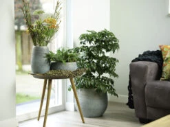 Bloempot Ryan - D31 X H28cm - Shiny Blue 4 Bloempot Ryan - D31 X H28cm - Shiny Blue -Ingemaakte Serie Winkel pot ryan shiny blue keramiek d31 h28 bloempot 7 10