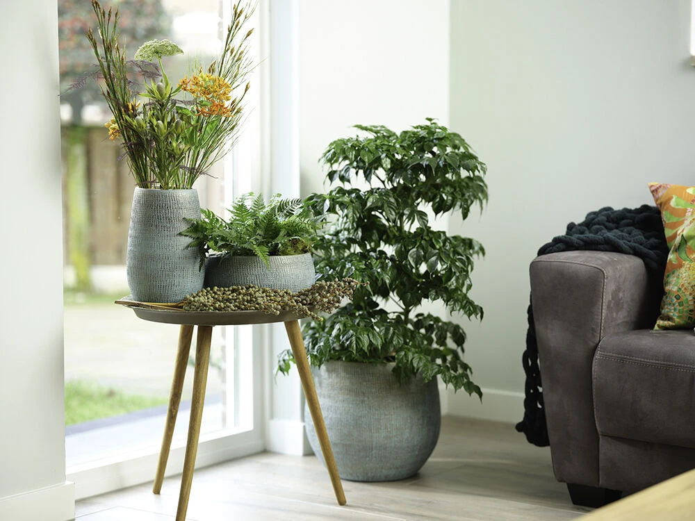 Bloempot Ryan - d31 x h28cm - Shiny blue Bloempot Ryan - D31 X H28cm - Shiny Blue -Ingemaakte Serie Winkel pot ryan shiny blue keramiek d31 h28 bloempot 7 10