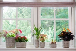 Bloempot Thies - D19 X H17cm - Olijf Groen -Ingemaakte Serie Winkel pot thies olive green d19 h17 bloempot 7 9