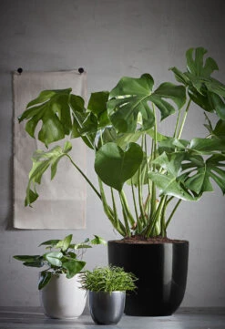 Bloempot Tusca - D28 X H25cm - Zwart -Ingemaakte Serie Winkel tusca pot rond zwart h25xd28cm bloempot 6 11