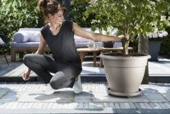 Plantentaxi Elho Universeel 40cm - Antraciet -Ingemaakte Serie Winkel universele planttaxi 40cm schotel antraciet 6 11