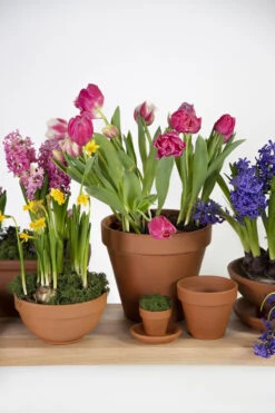 Bloempot Vaso - D37 X H32.5cm - Oranje -Ingemaakte Serie Winkel vaso 01370iz d37h325 bloempot 6 8