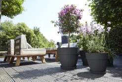 Bloempot Elho Vibia Campana Rond 40cm - Antraciet 3 Bloempot Elho Vibia Campana Rond 40cm - Antraciet -Ingemaakte Serie Winkel vibia campana rond 40 bloempot antraciet 6 11