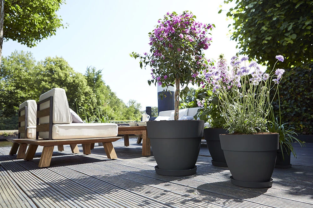 Bloempot Elho Vibia Campana rond 40cm - Antraciet Bloempot Elho Vibia Campana Rond 40cm - Antraciet -Ingemaakte Serie Winkel vibia campana rond 40 bloempot antraciet 6 11