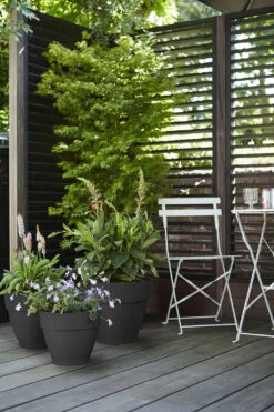 Bloempot Elho Vibia Campana Rond 47cm - Antraciet -Ingemaakte Serie Winkel vibia campana rond 47 bloempot antraciet 7 11