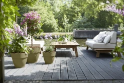 Bloempot Elho Vibia Campana Rond 40cm - Saliegroen 5 Bloempot Elho Vibia Campana Rond 40cm - Saliegroen -Ingemaakte Serie Winkel vibia campana saliegroen bloempot 4 6