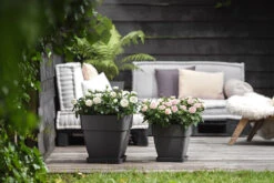 Bloempot Elho Vibia Campana Vierkant 30cm - Antraciet -Ingemaakte Serie Winkel vibia campana vierkant 30 plantenbak antraciet 6 11