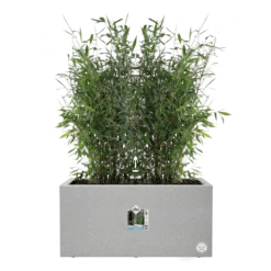 Elho Vivo Next Lang Wielen 80cm - Warm Grijs 6 Elho Vivo Next Lang Wielen 80cm - Warm Grijs -Ingemaakte Serie Winkel vivo matt lang wielen 80cm warm grijs 5 1