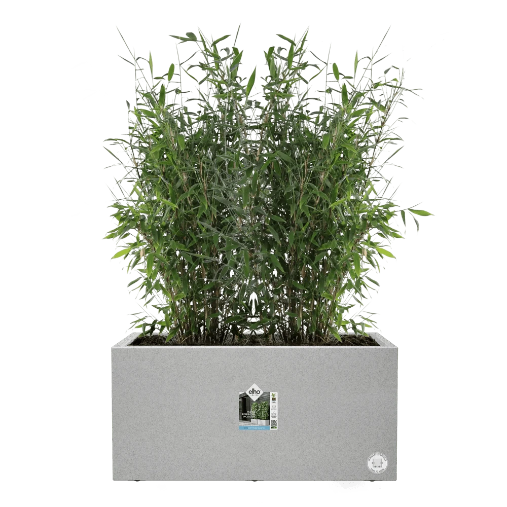 Vivo Next lang wielen 80cm - Warm Grijs Elho Vivo Next Lang Wielen 80cm - Warm Grijs -Ingemaakte Serie Winkel vivo matt lang wielen 80cm warm grijs 5 1