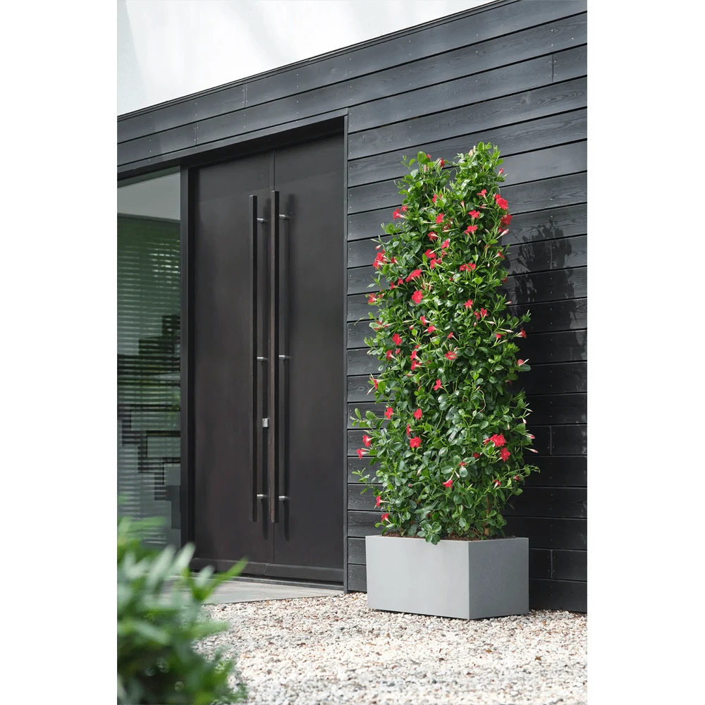 Vivo Next lang wielen 80cm - Warm Grijs Elho Vivo Next Lang Wielen 80cm - Warm Grijs -Ingemaakte Serie Winkel vivo matt lang wielen 80cm warm grijs 6 1