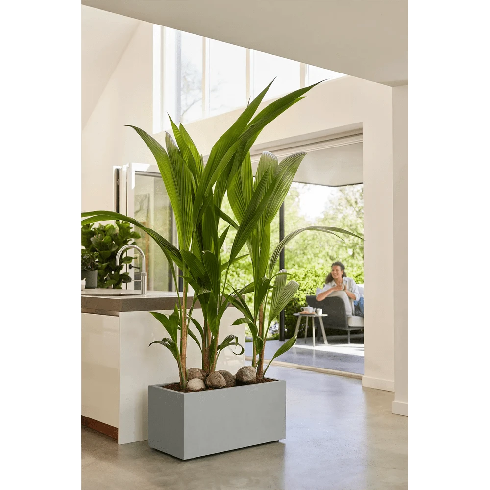 Vivo Next lang wielen 80cm - Warm Grijs Elho Vivo Next Lang Wielen 80cm - Warm Grijs -Ingemaakte Serie Winkel vivo matt lang wielen 80cm warm grijs 7 1