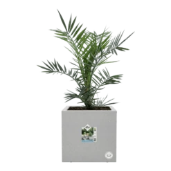 Elho Vivo Next Vierkant Wielen 40cm - Warm Grijs -Ingemaakte Serie Winkel vivo matt vierkant wielen 40cm warm grijs 6 1