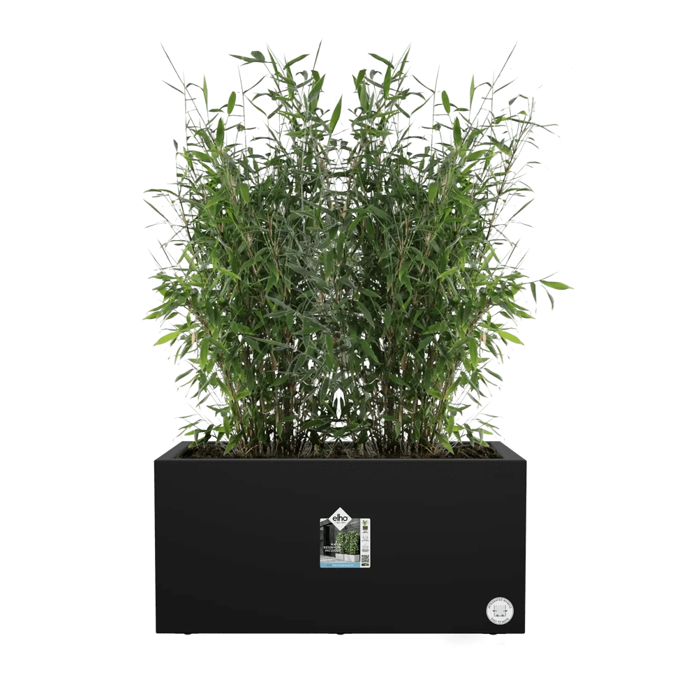 Vivo Next lang wielen 80cm - Living black Elho Vivo Next Lang Wielen 80cm - Living Black -Ingemaakte Serie Winkel