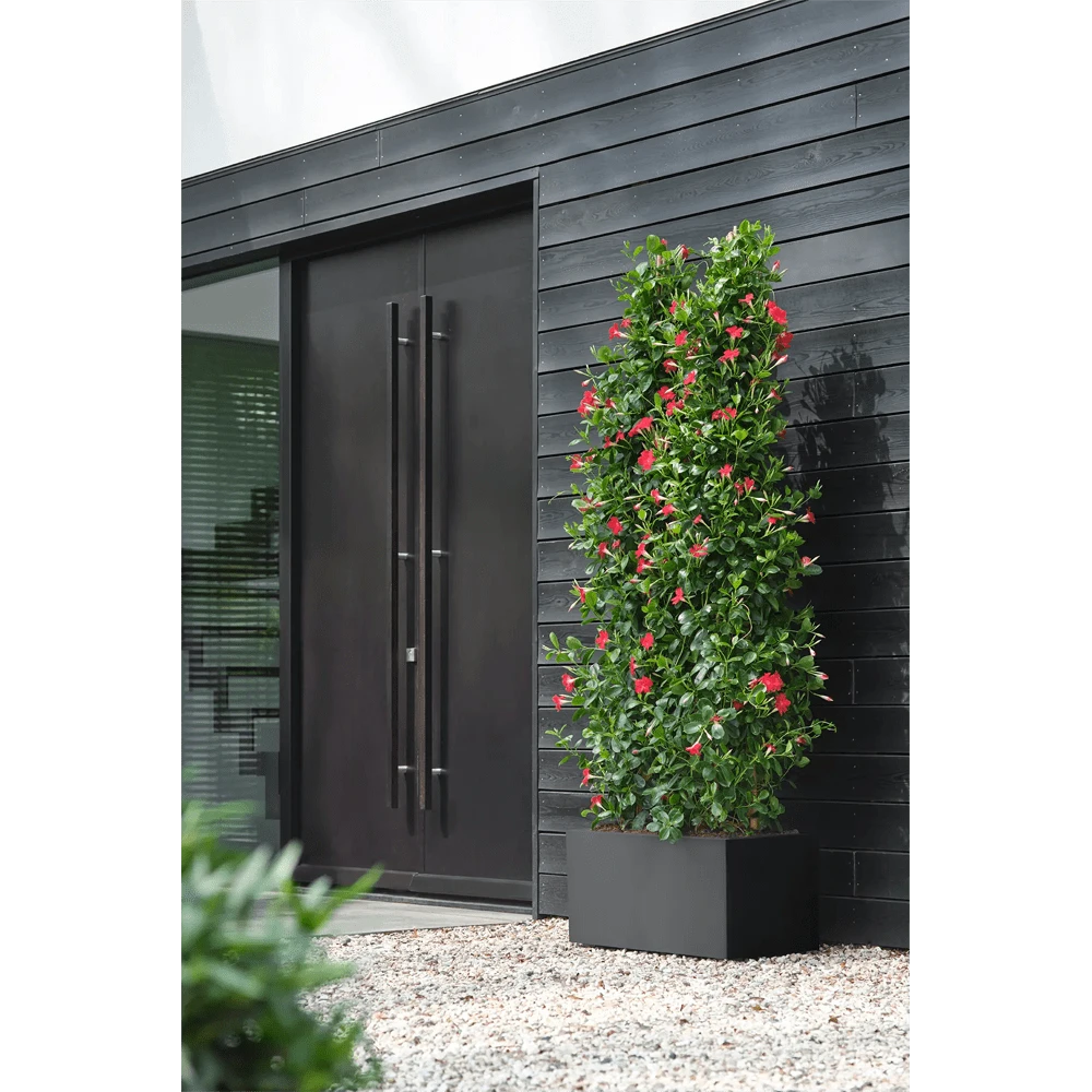 Vivo Next lang wielen 80cm - Living black Elho Vivo Next Lang Wielen 80cm - Living Black -Ingemaakte Serie Winkel