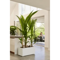 Elho Vivo Next Lang Wielen 80cm - Wit -Ingemaakte Serie Winkel vivo next lang wielen 80cm wit 7 1