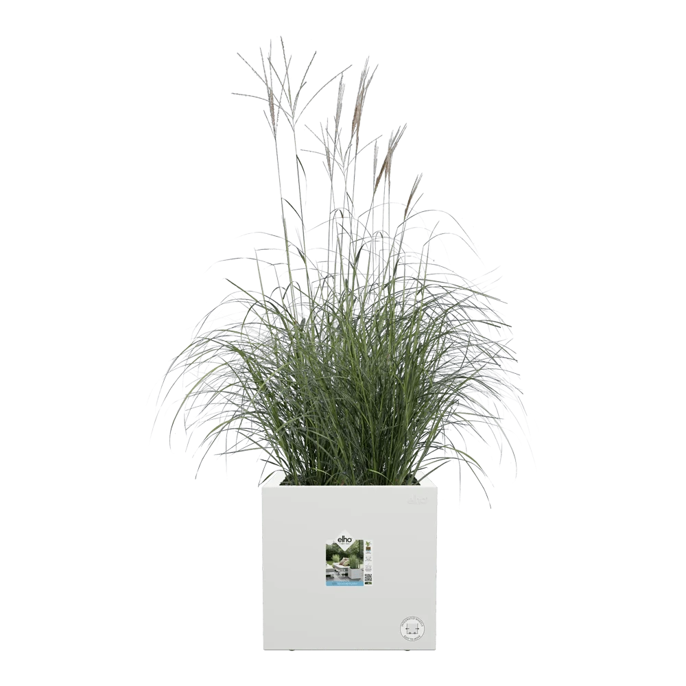 Vivo Next vierkant wielen 40cm - Wit Elho Vivo Next Vierkant Wielen 40cm - Wit -Ingemaakte Serie Winkel